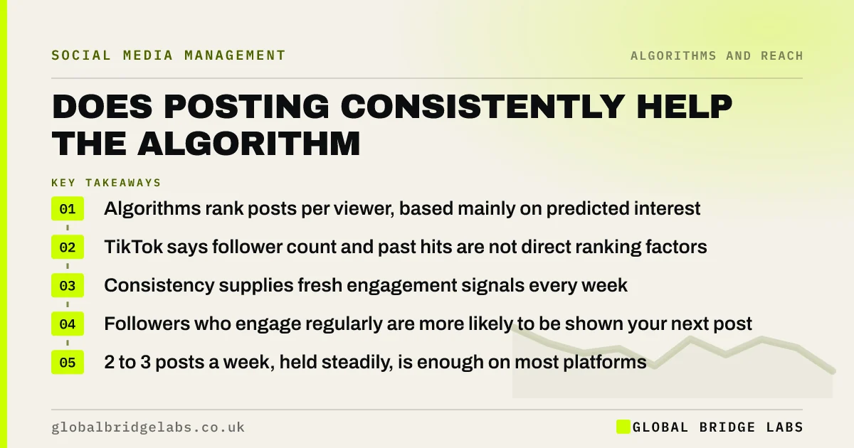 Does posting consistently help algorithm: key takeaways infographic by Global Bridge Labs