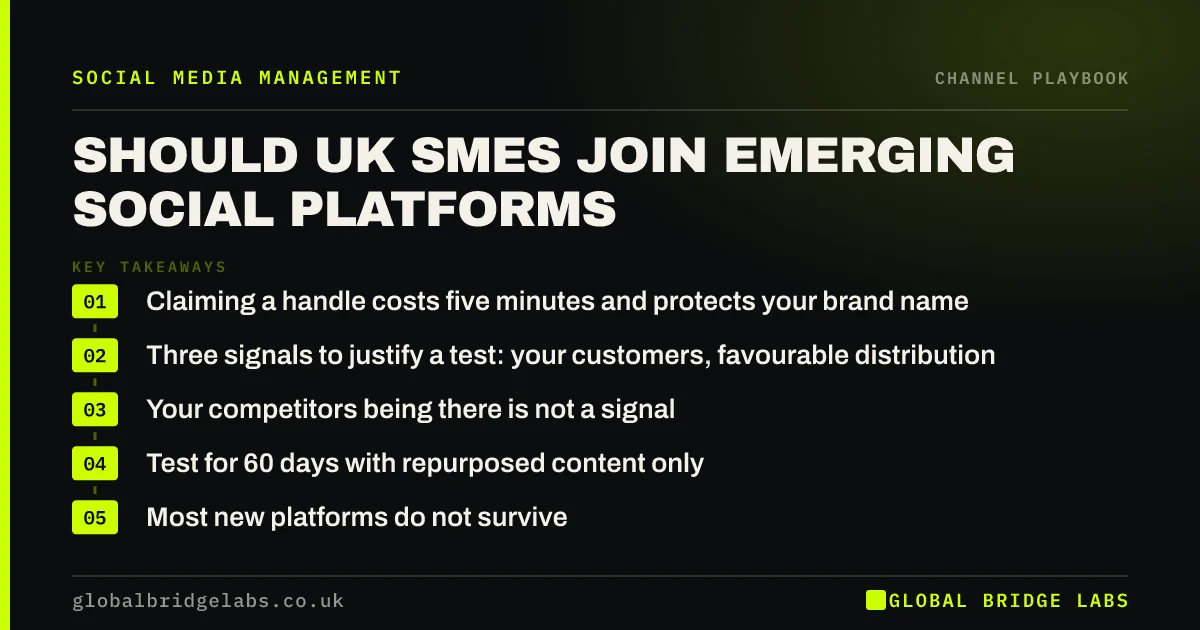 Emerging social platforms UK SMEs: key takeaways infographic by Global Bridge Labs