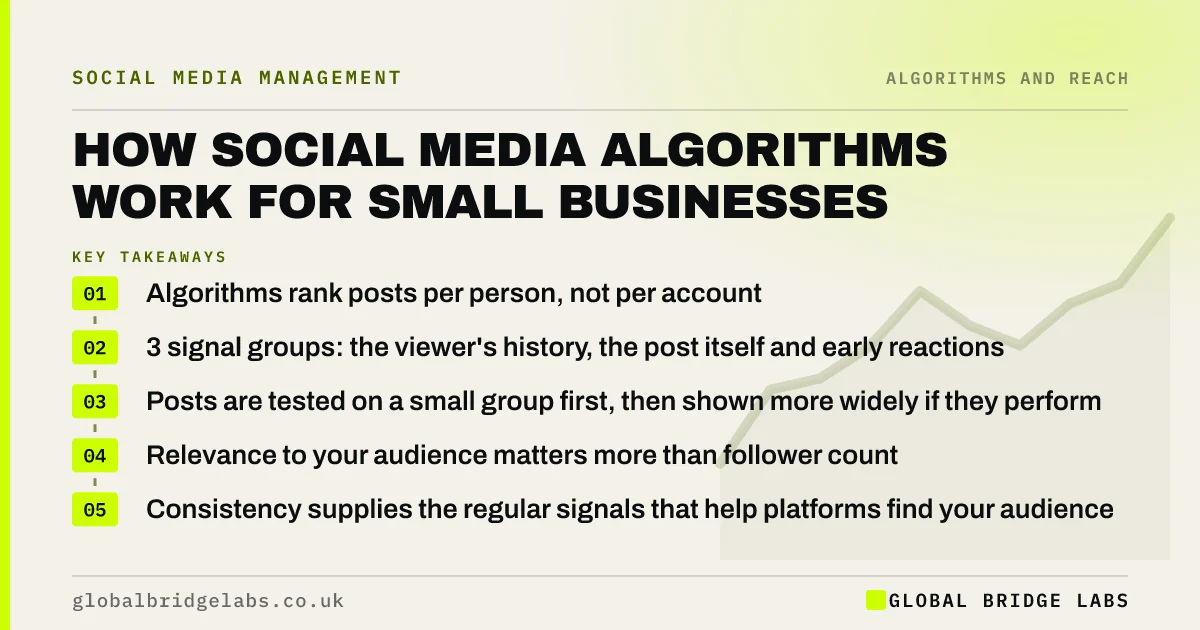 How social media algorithms work: key takeaways infographic by Global Bridge Labs