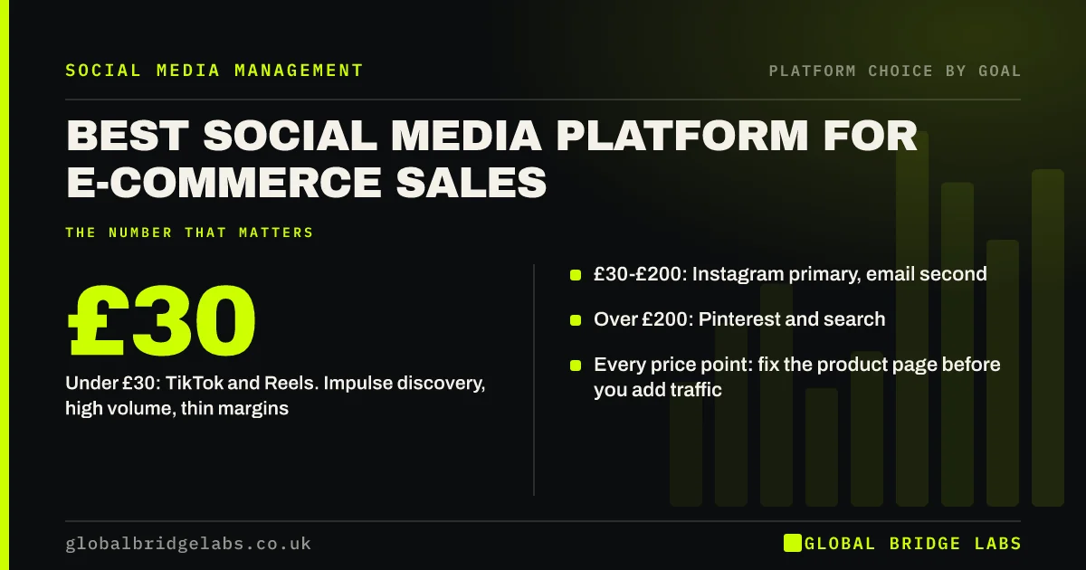 Best social media platform for ecommerce sales: key takeaways infographic by Global Bridge Labs