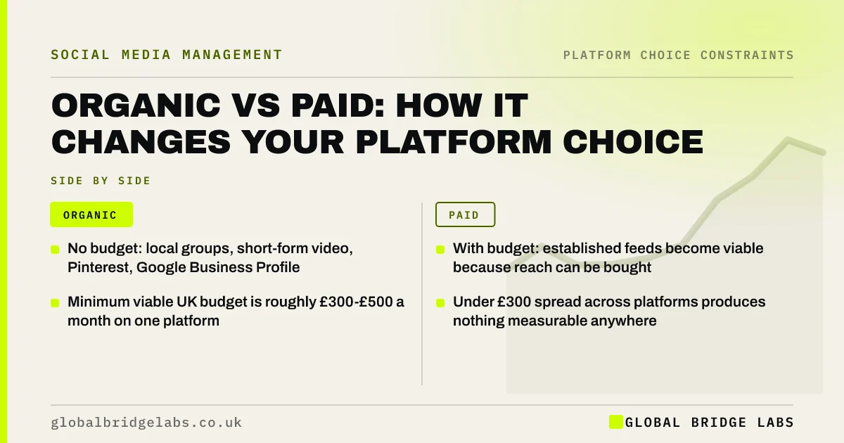 Organic vs paid social media: key takeaways infographic by Global Bridge Labs