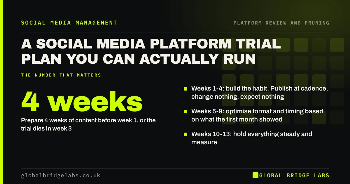 Social media platform trial: key takeaways infographic by Global Bridge Labs