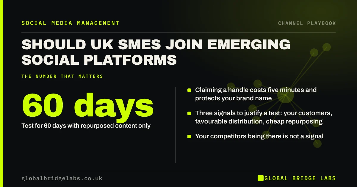 Emerging social platforms UK SMEs: key takeaways infographic by Global Bridge Labs
