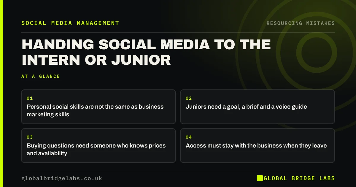 Letting an intern run social media: key takeaways infographic by Global Bridge Labs