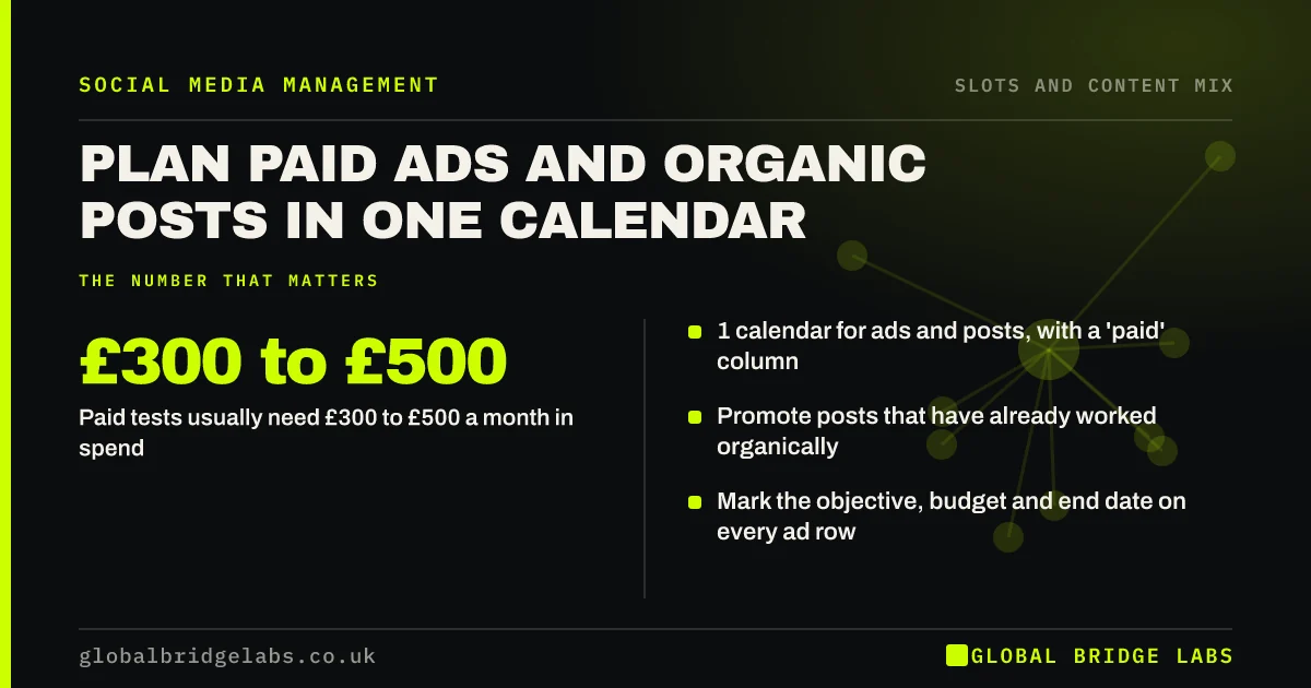 Paid and organic content calendar: key takeaways infographic by Global Bridge Labs