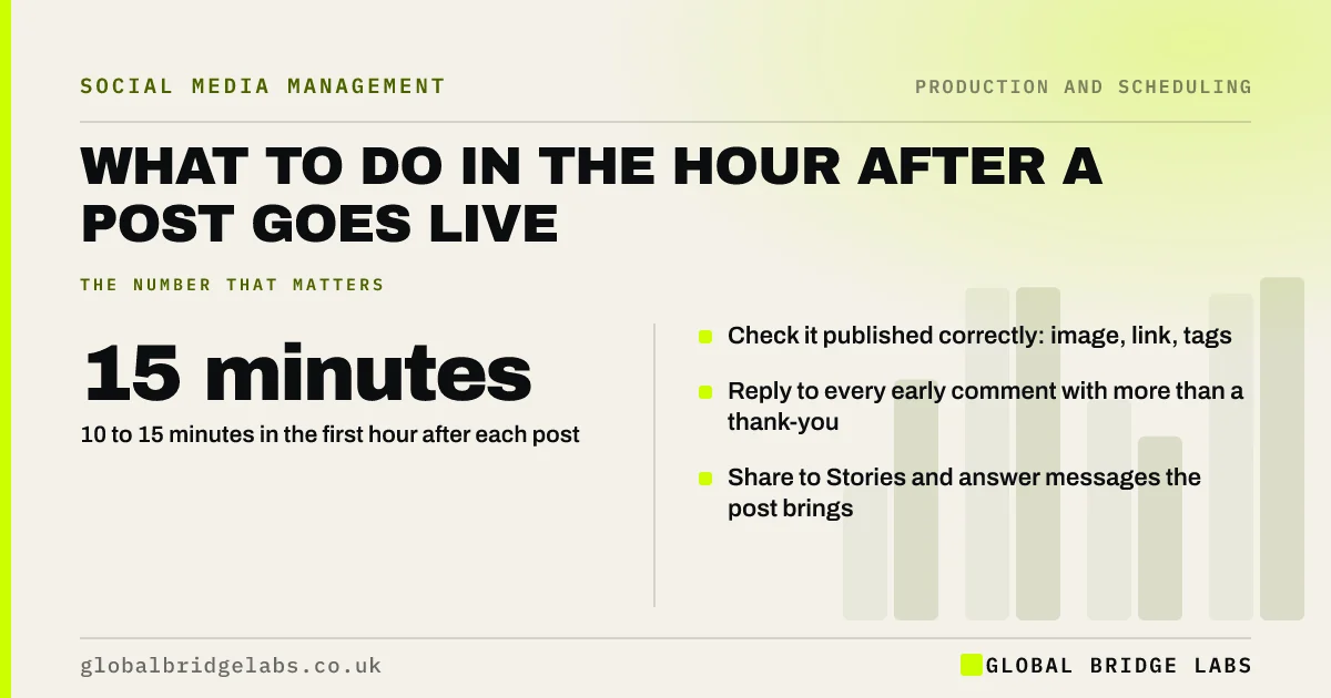 What to do after posting on social media: key takeaways infographic by Global Bridge Labs